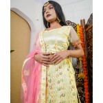 Dazzler Lehenga with Canvas Set